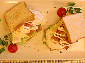 CAFFE RESTAURANT WILD ROSE Banja Luka - Photo 6