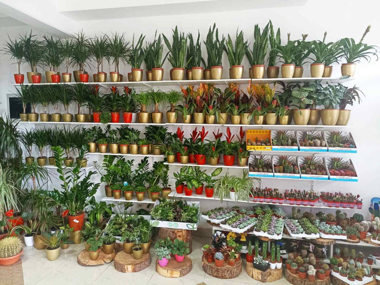 FLOWER SHOP ZVONCICA Banja Luka - Photo 3