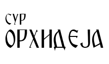 SUR ORHIDEJA